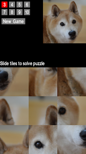 T4 Puzzle