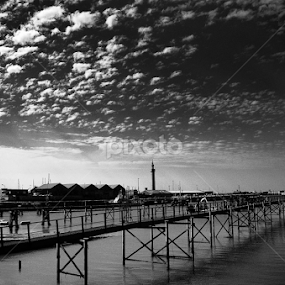 by Simon Trott - Buildings & Architecture Bridges & Suspended Structures