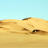 Desert Live Wallpaper mobile app icon
