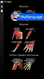 Anatomy Learning - 3D Anatomy 5