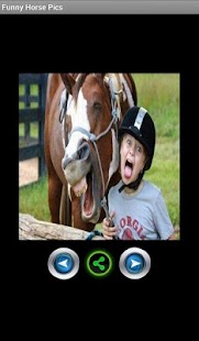 Funny horse pictures