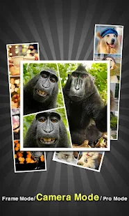 InstaPicFrame for Instagram - screenshot thumbnail