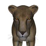 Cover Image of Unduh Safari Slots 4.0 APK