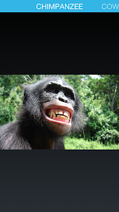 Download Kids Objects Show APK