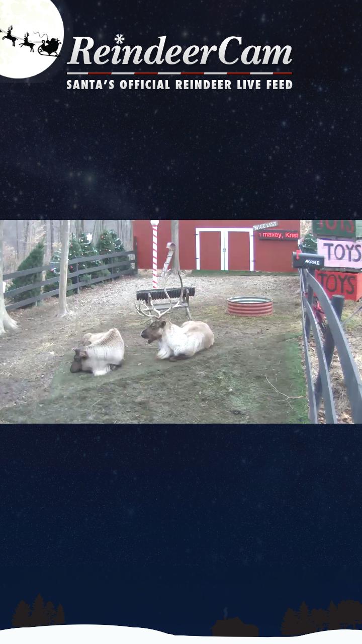 ReindeerCam Screen 1