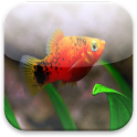 About Fish logo