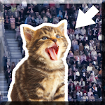 Kitty in the Crowd Apk