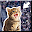 Kitty in the Crowd Download on Windows