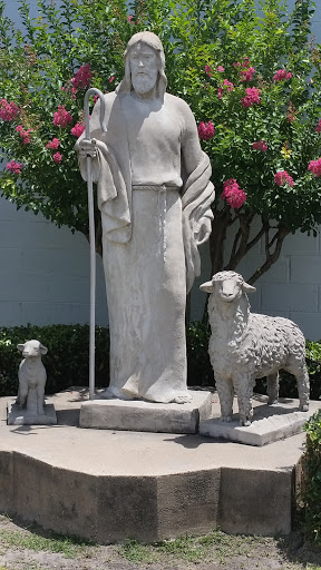 Jesus and His Sheep