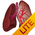 Ausculta Pulmonar Lite logo