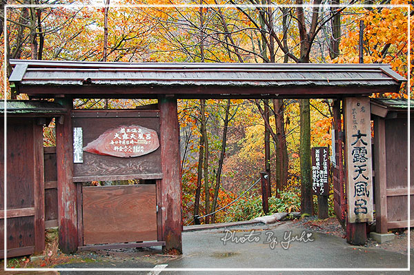 日本東北 Just Love For Maple