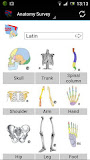 Human Anatomy