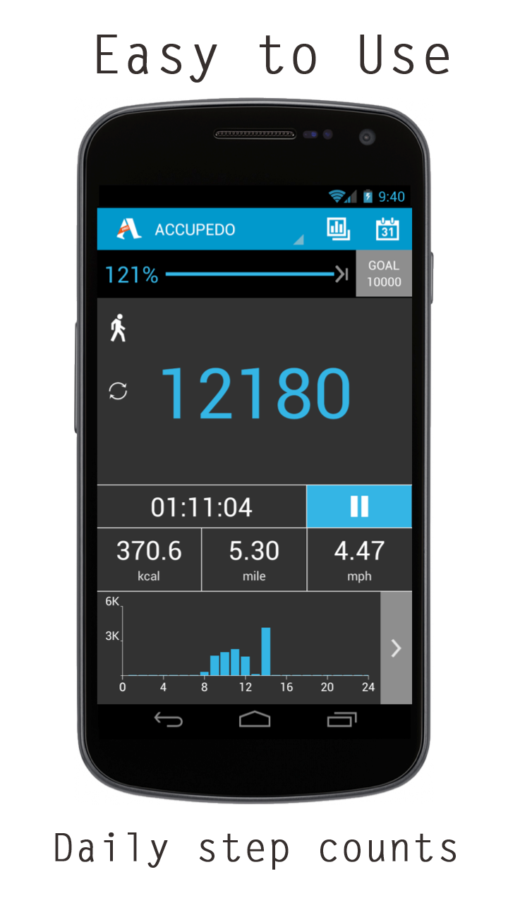Accupedo-Pro Pedometer Screen 3