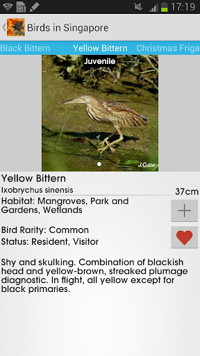 免費下載教育APP|Birds of Singapore app開箱文|APP開箱王