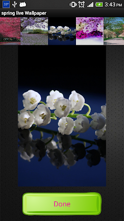 spring live wallpapers 1.0.2 Apk, Free Personalization Application – APK4Now