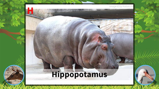 Free ABC Animals Flash Card APK for Android