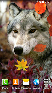 Autumn Live Wallpaper(圖5)-速報App