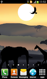African Sunset Live Wallpaper