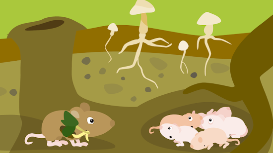  BioMio - My First Biology App  