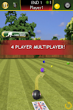 Virtual Lawn Bowls