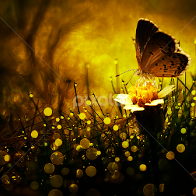 Into The Dark of Heaven by Donald Jusa - Digital Art Things