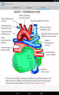 Anatomy Lectures - the heart - Apps on Google Play