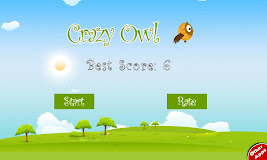 Crazy Owl
