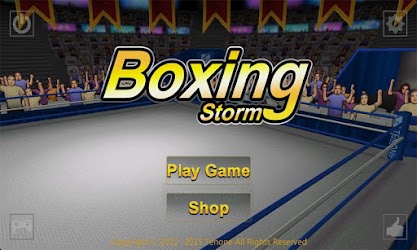 Boxing Storm