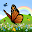 Coloring Book: Butterfly! Download on Windows