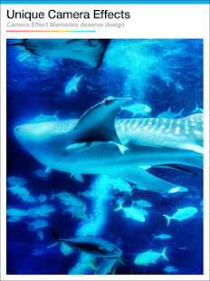 Afterlight Pro - screenshot thumbnail