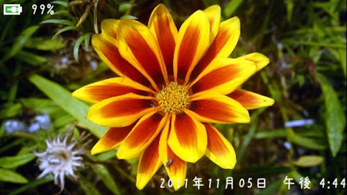 Android application Photoroid　Pro screenshort