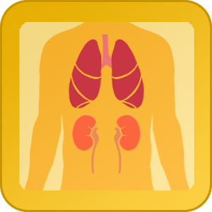 EAB APP.apk 1.33