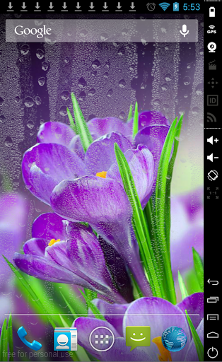 Daisy in Rain Live Wallpaper