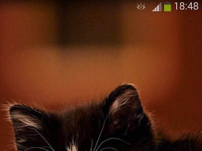 【ベストコレクション】 待ち受け xperia 137317-Xperia 待ち受け 固定