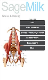 999 Medical Anatomy Terms Quiz