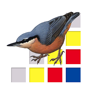 Birds of Europe logo