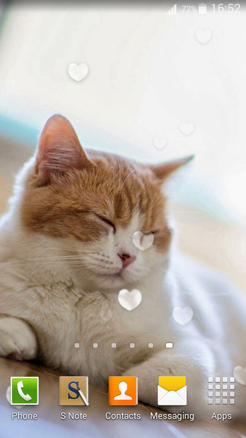  Cute  Cats  Live  Wallpaper  Android Apps on Google Play