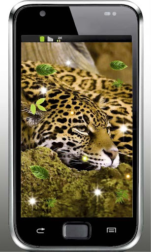 【免費個人化App】Jaguar Top live wallpaper-APP點子