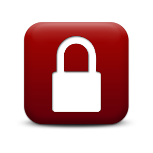 Password Delay Full logo
