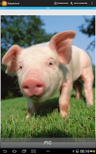 Animal Sound for Kids(圖6)-速報App