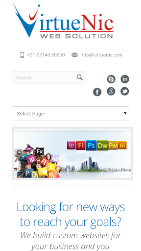 VirtueNic Web Solution