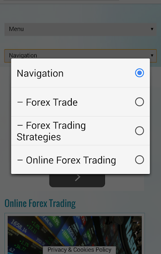 Forex For Beginners