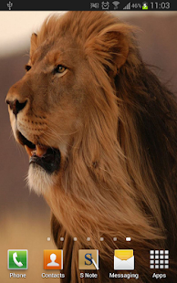 Amazing Lions Wallpapers(圖6)-速報App