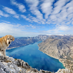 by Aleksandar Kordic - Landscapes Mountains & Hills