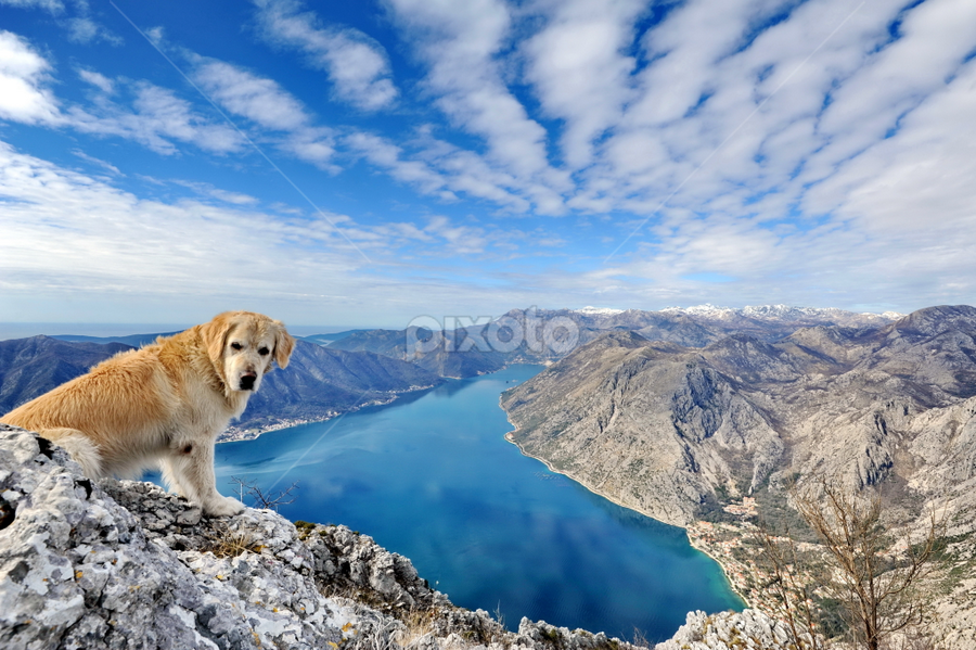 by Aleksandar Kordic - Landscapes Mountains & Hills