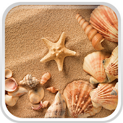 Sea Shell Live Wallpaper 2.2 Icon