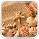 Descargar la aplicación Sea Shell Live Wallpaper Instalar Más reciente APK descargador
