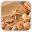 Sea Shell Live Wallpaper Download on Windows