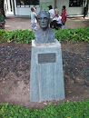 Busto Dr. Pedro Feu Rosa
