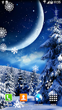 Winter Night Wallpaper